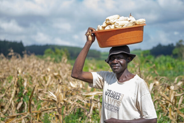 AfDB Commits Shs2tn to Revolutionise Financing for Smallholder Farmers